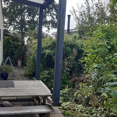 Kitty's Place