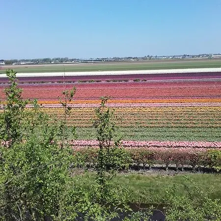 Ferienhaus Kitty's Place Warmond