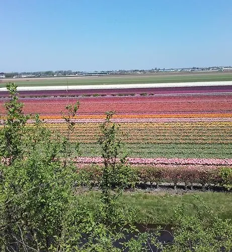 Ferienhaus Kitty's Place Warmond